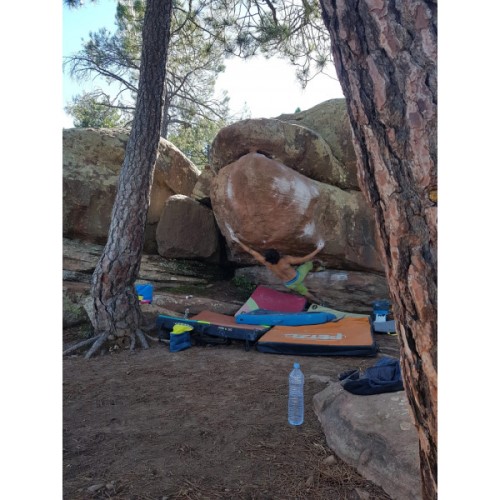 Speedster La Sportiva Ireland Lime Yellow