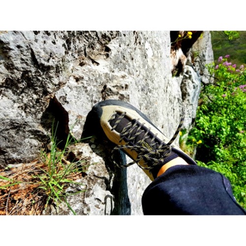 Tc Pro Olive La Sportiva Ireland