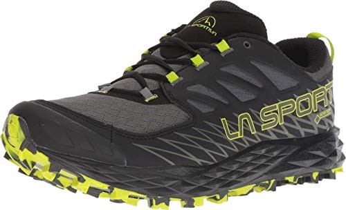 Lycan Gtx Running Shoe La Sportiva Ireland Carbon Apple Green